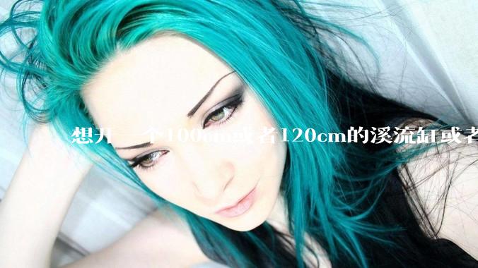 想开一个100cm或者120cm的溪流缸或者水草缸，有没有大佬指导一下，有哪些注意事项？