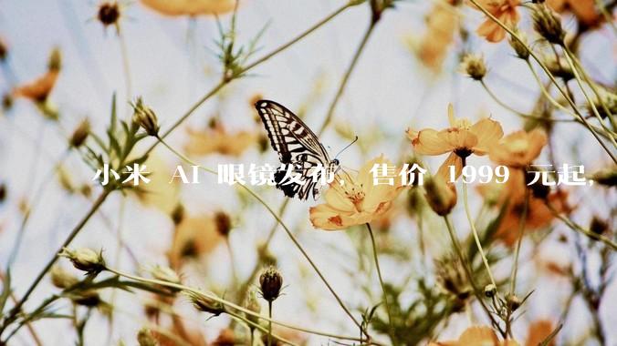 小米 AI 眼镜发布，售价 1999 元起，有哪些功能亮点？你看好其市场前景吗？
