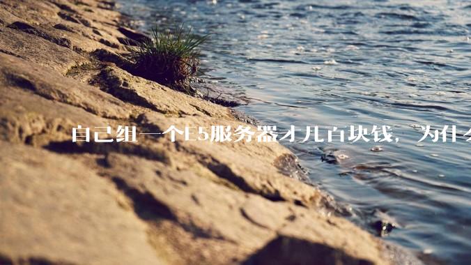 自己组一个E5服务器才几百块钱，为什么去阿里云租这么贵?