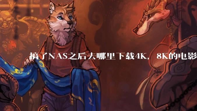 搞了NAS之后去哪里下载4K，8K的电影？