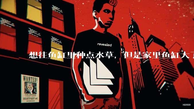 想往鱼缸里种点水草，但是家里鱼缸大了买水草泥或者底砂太贵了，有没有生活中可以替代的物品或其他建议？